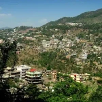Solan