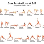 Sun Salutation