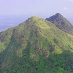 Wayanad district