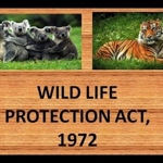 Wildlife Protection Act, 1972