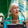 Jane Goodall