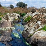 Camino Natural de las Vegas del Guadiana