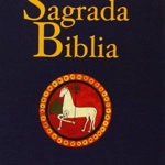 Conferencia episcopal