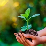 Conservación ambiental