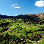 Medio rural