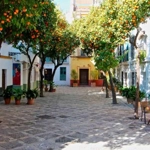 Santa Cruz (Sevilla)