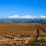 Sierra Nevada (España)