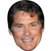 David Hasselhoff