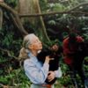 Jane Goodall