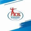 Pick Szeged (kézilabda)