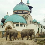 Fővárosi Állat- és Növénykert