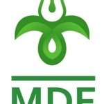 Magyar Demokrata Fórum