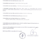 Társadalmi szervezet