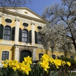 Zalaegerszegi Törvényszék