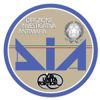Direzione Investigativa Antimafia