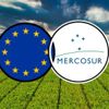 Mercosur