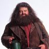 Rubeus Hagrid
