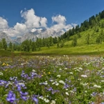 Carnia