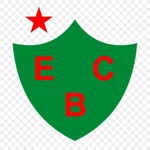 Clube de Regatas do Flamengo