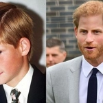 Henry, duca di Sussex