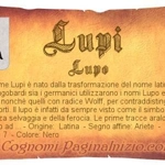 Lupi (cognome)