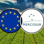 Mercosur