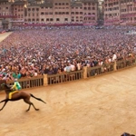 Palio di Siena