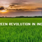 Green Revolution