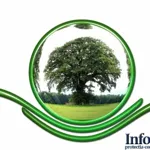 European Green Deal