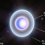uranus's rings