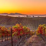 napa valley