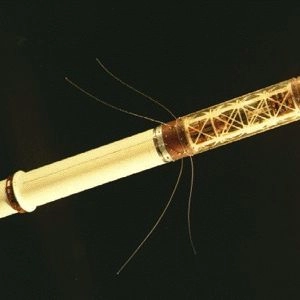 explorer 1