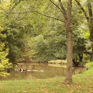 Parco Lambro