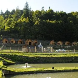 Ciobănuș, Bacău