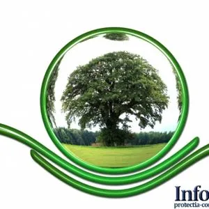 European Green Deal