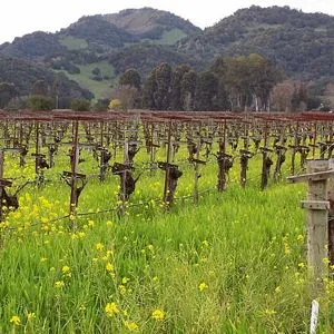 napa valley