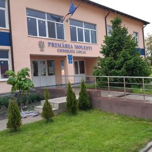 primăria molești, ialoveni