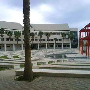 Universidad de Alicante