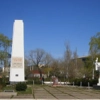 Căușeni