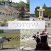 Cotova, Drochia