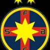 FCSB