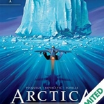 Arctica