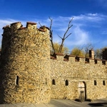 Cojușna, Strășeni