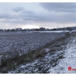 Colonița, Chișinău