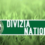Divizia Națională