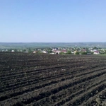 Goianul Nou, Chișinău