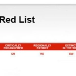 Lista roșie a IUCN