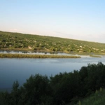 Mocra, Stînga Nistrului