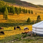 Mongolia