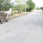 Natalievca, Fălești